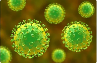 Nipah Virus