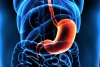 Medical illustration highlighting the stomach for bariatric procedure comparison