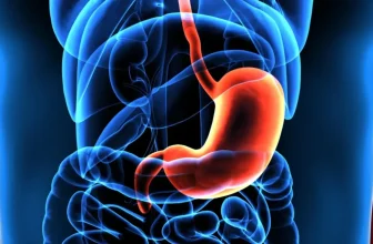 Medical illustration highlighting the stomach for bariatric procedure comparison